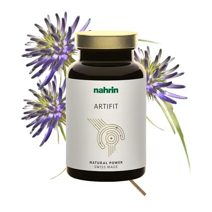 Artifit