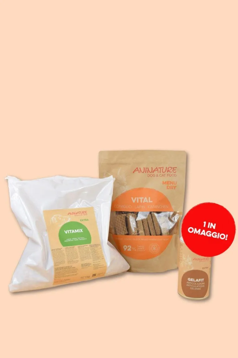 Set BARF Gatto