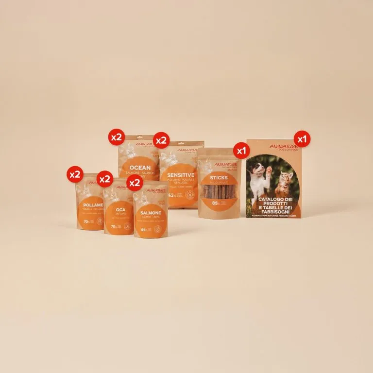 Set Prova Gatto